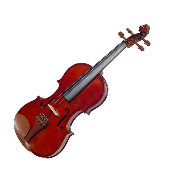 Violino 4/4 Michael Boxwood Series VNM146 Com Estojo
