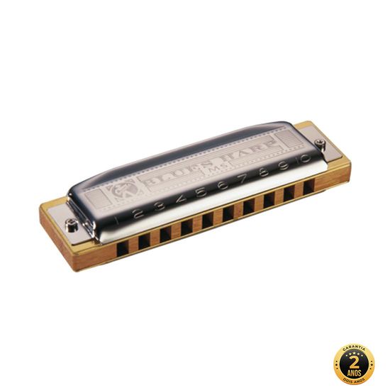 Gaita Hohner Blues Harp 532/20 C DÓ Gaita Hohner Blues Harp 532/20 C DÓ