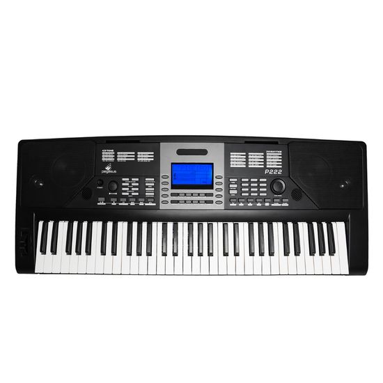 Teclado Arranjador Pegasus P222 Com Fonte e Porta Partitura