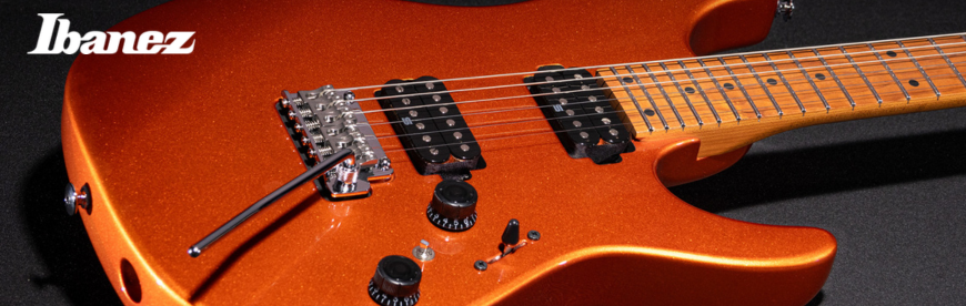 BANNER IBANEZ