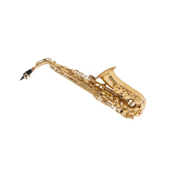 Saxofone Alto Vogga VSAS710 Afinação em Eb Mi Bemol