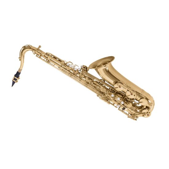 Saxofone Tenor Vogga VSTS710 Afinação em Bb Si Bemol